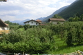 Ausblick