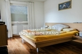 --------- - Kopie