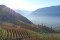 DJI_0062