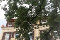 IA-IMG_0470