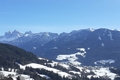 PHOTO-2021-02-15-12-34-41